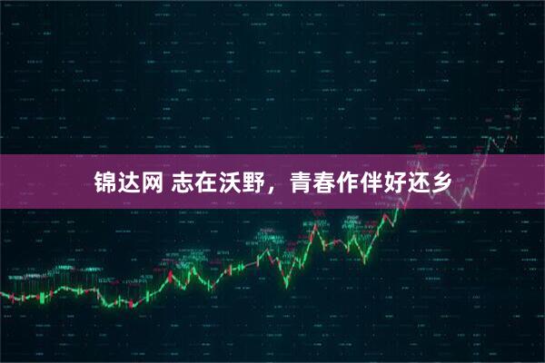 锦达网 志在沃野，青春作伴好还乡