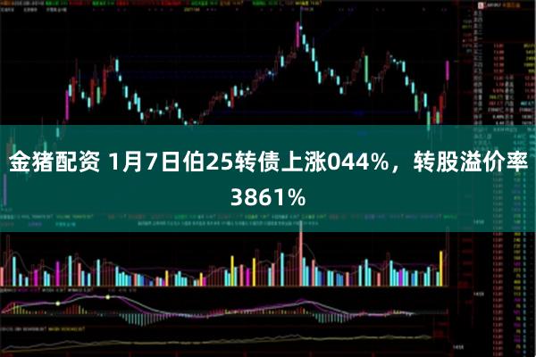 金猪配资 1月7日伯25转债上涨044%，转股溢价率3861%